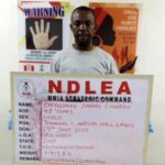 Okada rider excretes 100 wraps of meth as NDLEA seizes ₦10.3bn canadian Loud in Lagos