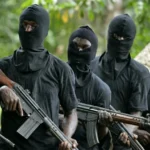 Terrorists Kill 30, Including Eight Children, in Fresh Kaduna Community Attack