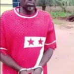 Bus Driver Arrested for Allegedly Deliberately Crashing Bus, Killing Passenger After Heated Argument