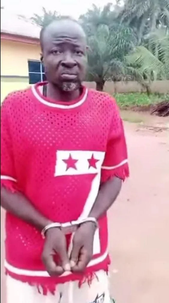 Bus Driver Arrested for Allegedly Deliberately Crashing Bus, Killing Passenger After Heated Argument