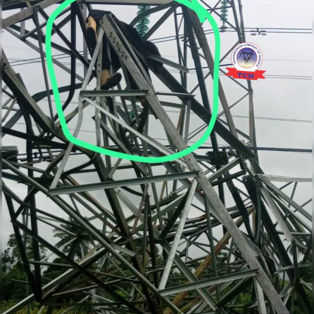 Suspected Vandal Crushed to Death as 330kV Transmission Tower Collapses in Delta