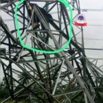Suspected Vandal Crushed to Death as 330kV Transmission Tower Collapses in Delta
