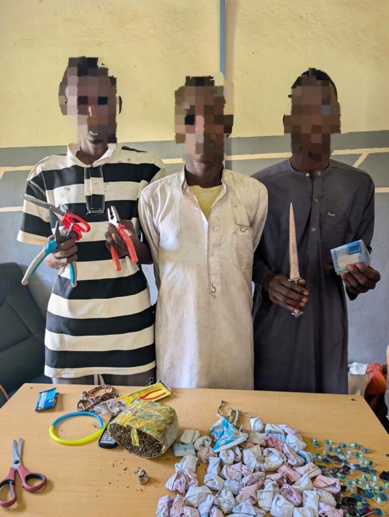 Police Arrest 20-Year-Old Son Over Alleged Robbery of Mother, Siblings in Adamawa