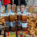 Ondo Monkey Tail Outbreak Claims 49 Lives, Affects 170