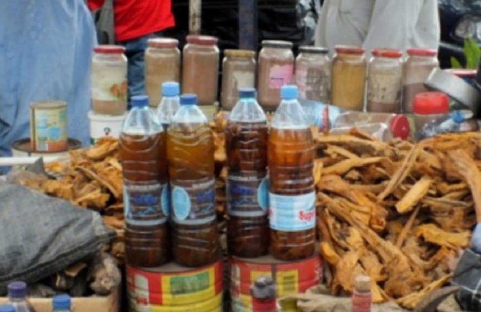 Ondo Monkey Tail Outbreak Claims 49 Lives, Affects 170