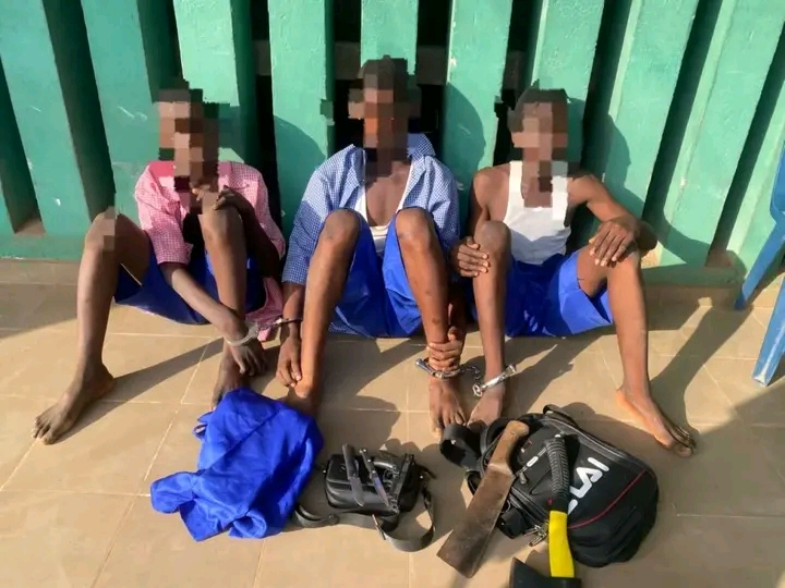 Police Arrest Three Students Over Suspected Cult Initiation In Ogun
