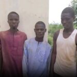 Bandits Kill Three Alleged Kidnappers After They Killed Kidnap Victim in Katsina
