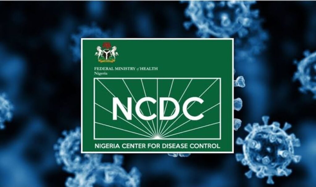 NCDC: Ebola Outbreak Could Force 2027 Election Postponement