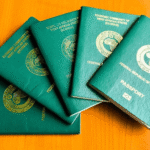 Nigeria’s Passport Drops to 181st in Visa Ranking as Visa-Free Destinations Fall to 24