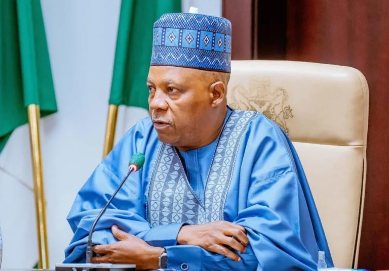 Shettima Tells Governors To End Reliance On FG For Electricity